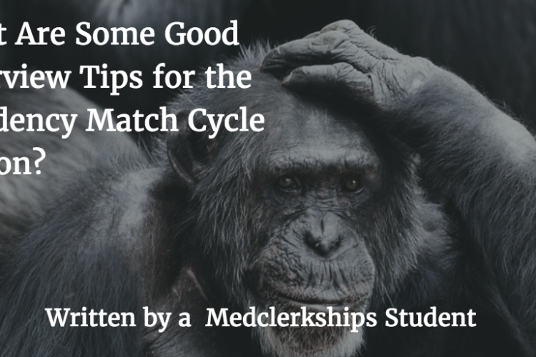 What Are Some Good Interview Tips for the Residency Match Cycle Season?